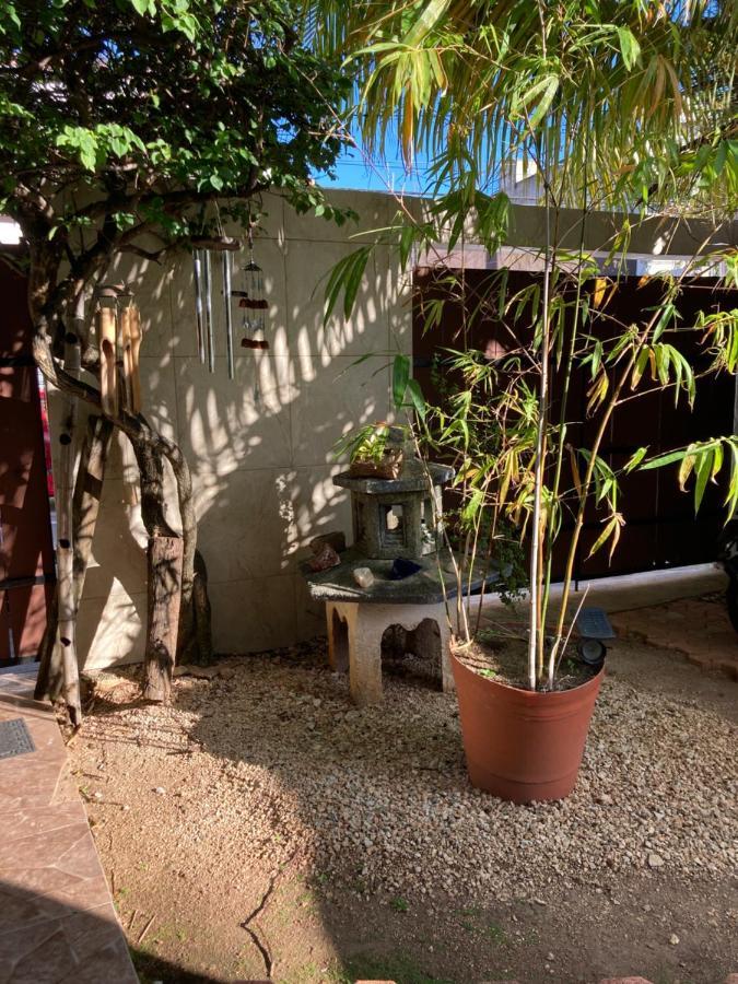 شقة كانكون  في Violeta'S House المظهر الخارجي الصورة